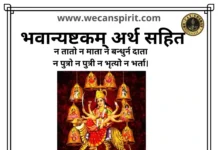 Bhavani Ashtakam Lyrics | भवान्यष्टकम्‌ हिन्दी अर्थ : न तातो न माता