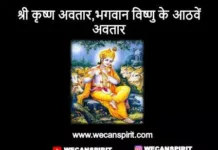 श्री कृष्ण अवतार - Shree Krishna Avatar