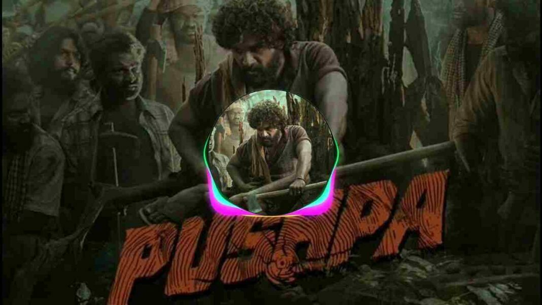 Pushpa Jaago Jaago Bakre