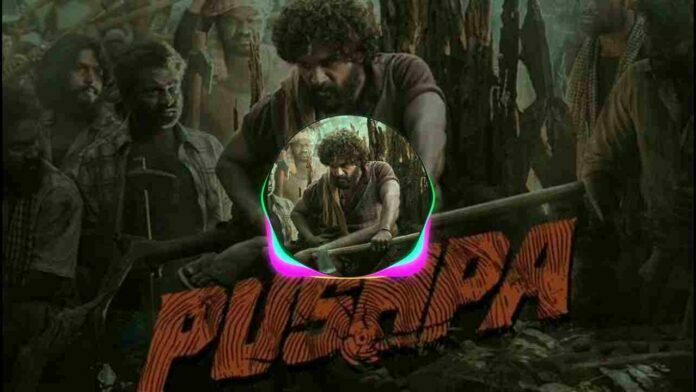 Pushpa Jaago Jaago Bakre