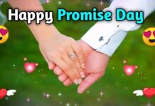 Promise Day Quotes in Hindi