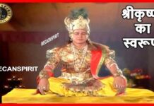 lord krishna virat swarup