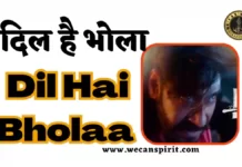 Dil Hai Bholaa Lyrics