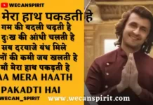 Maa Mera Haath Pakadti Hai Lyrics - Sonu Nigam
