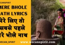 Mere Bhole Nath Lyrics in Hindi