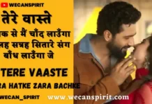 Tere Vaaste Lyrics - Zara Hatke Zara Bachke