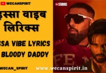 Issa Vibe Lyrics – Bloody Daddy