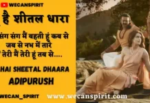 Tu Hai Sheetal Dhaara Lyrics - Adipurush | तू है शीतल धारा लिरिक्स