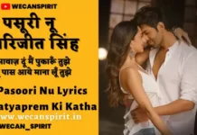 Pasoori Nu Lyrics - Arijit Singh | पसूरी नू लिरिक्स सत्यप्रेम की कथा