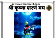 Shree Krishna Sharanam Mamah Lyrics - श्रीकृष्ण: शरणं मम