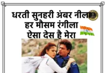 Aisa Des Hai Mera Lyrics | Veer Zaara - ऐसा देस है मेरा लिरिक्स
